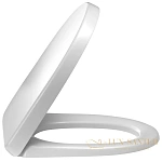 Крышка-сиденье Jacob Delafon Odeon Up E70009-00, белый