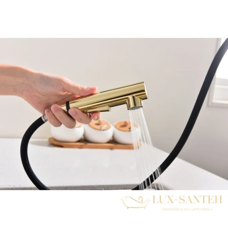 смеситель paulmark neo ne214419-g для кухни, золотой