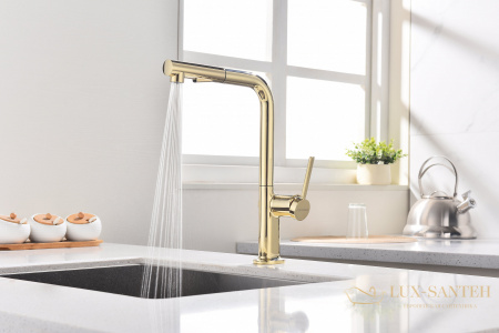 смеситель для кухни с выдвижным изливом paulmark neo ne214419-g, золото