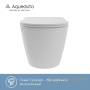 унитаз подвесной безободковый, aqueduto cone plus, ovot0210, смыв tornado, 520*365 мм, быстросъемное сиденье с микролифтом, белый глянцевый