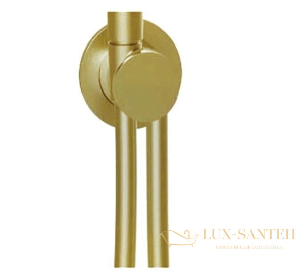 держатель ручного душа almar modular e192000.hb, со шлангом и шланговым подключением, латунь брашированная pvd