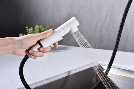 смеситель для кухни с выдвижным изливом paulmark neo ne214419-431, белый матовый