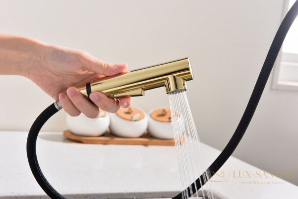 смеситель для кухни с выдвижным изливом paulmark neo ne214419-g, золото