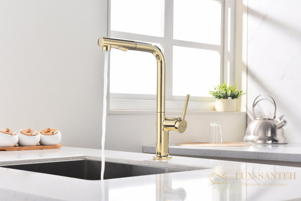смеситель для кухни с выдвижным изливом paulmark neo ne214419-g, золото