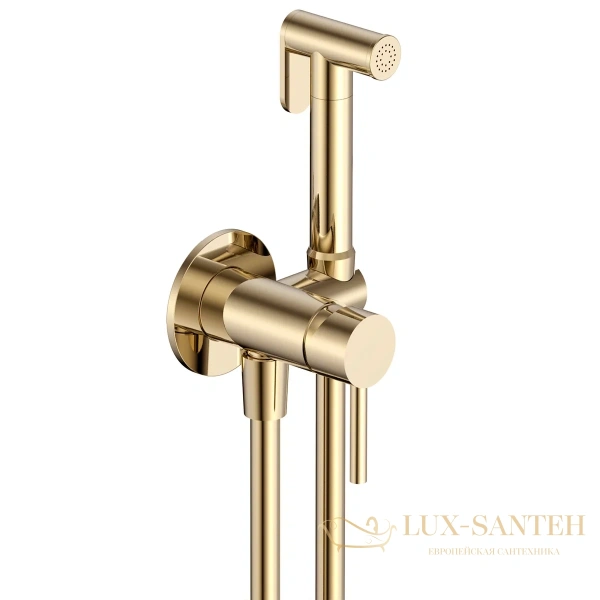 гигиенический набор со встроенным смесителем aquame siena aqm6217bg, золото брашированное