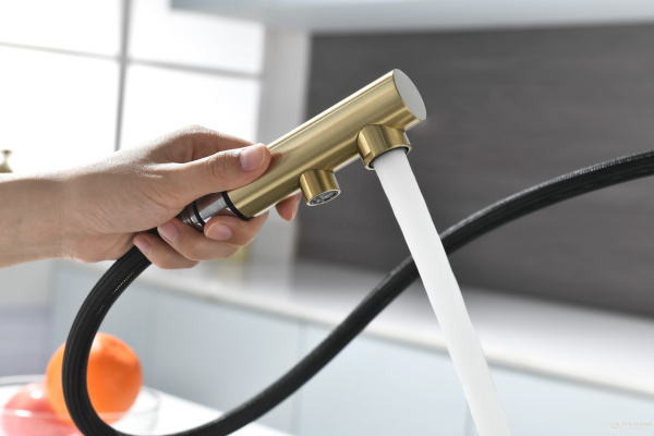 смеситель для кухни под фильтр с гибким изливом paulmark serpentine se213222-sbg, золото светлое брашированное