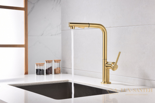 смеситель для кухни с выдвижным изливом paulmark neo ne214419-sbg, золото светлое брашированное