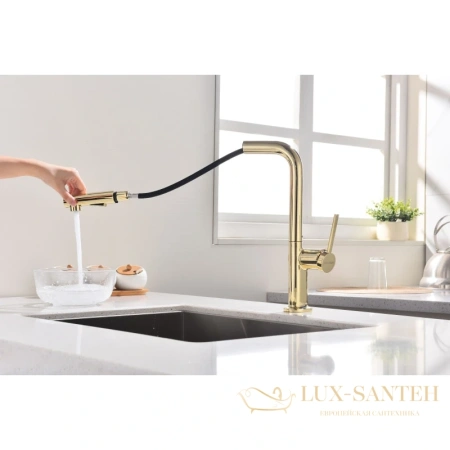 смеситель paulmark neo ne214419-g для кухни, золотой