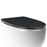 Сиденье для унитаза AeT Dot 2.0 с микролифтом, быстросъемное, C555R105, цвет черный матовый