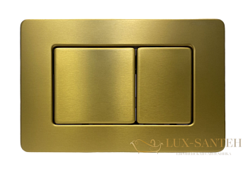 панель смыва charus tm, robusto, fp.310.bg.05, золото брашированное