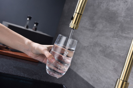 смеситель для кухни под фильтр с выдвижным изливом paulmark galant ga213077-sbg, золото светлое брашированное