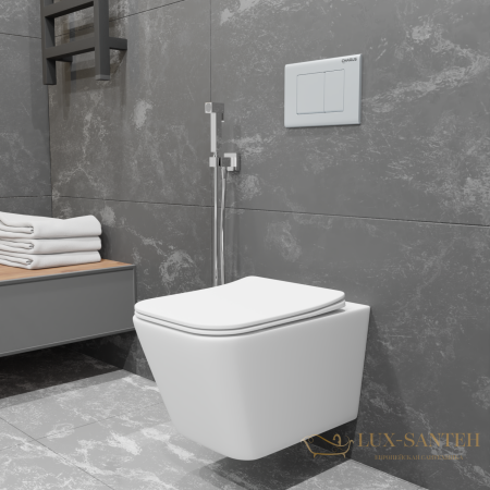 унитаз подвесной безободковый charus alva rimless ewc700-114w, с быстросъемной крышкой с сиденьем, микролифт,белый глянцевый