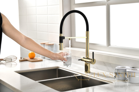 смеситель для кухни под фильтр с гибким изливом paulmark gravity gr213888-g, золото