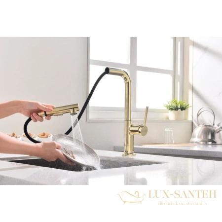 смеситель paulmark neo ne214419-g для кухни, золотой