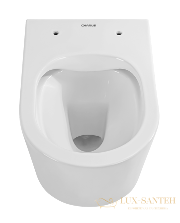 унитаз подвесной безободковый charus infinito rimless ewc700-130w, с быстросъемной крышкой с сиденьем, микролифт,белый глянцевый