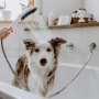 ручной душ hansgrohe dogshower 3jet 26640700, матовый белый