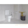 унитаз-компакт vitra zentrum 9012b003-7226 с функцией биде с сиденьем микролифт, белый