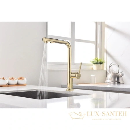 смеситель paulmark neo ne214419-g для кухни, золотой