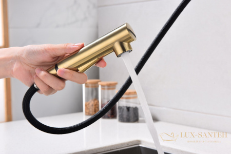 смеситель для кухни с выдвижным изливом paulmark neo ne214419-sbg, золото светлое брашированное