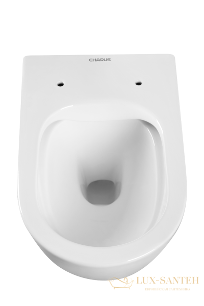 унитаз подвесной безободковый charus estella rimless ewc700-121w, с быстросъемной крышкой с сиденьем, микролифт, белый глянцевый