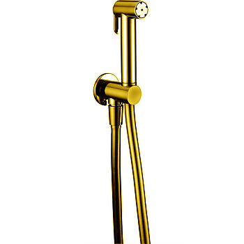 cisal shower, a300791024, гидроершик со шлангом 120 см, вывод с держателем, цвет золото