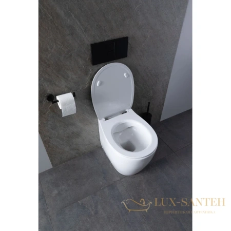 приставной безободковый унитаз allen brau fantasy 4.11007.20, белый