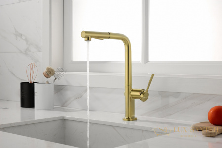 смеситель для кухни с выдвижным изливом paulmark neo ne214419-bg, золото брашированное
