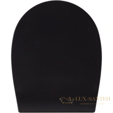 сиденье для унитаза allen brau fantasy 4.11005.31 с микролифтом, черный матовый