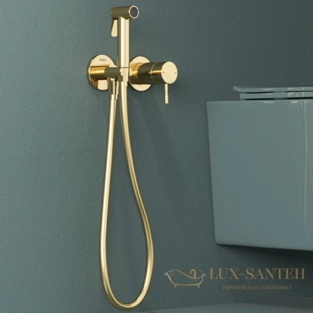 гигиенический комплект teska atlas tera t5737, золотой