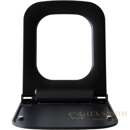 сиденье для унитаза allen brau infinity 4.21014.31 с микролифтом, черный матовый