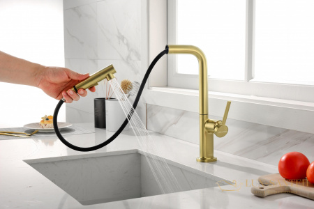 смеситель для кухни с выдвижным изливом paulmark neo ne214419-bg, золото брашированное