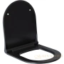 сиденье для унитаза allen brau priority 4.31004.31 с микролифтом, черный матовый
