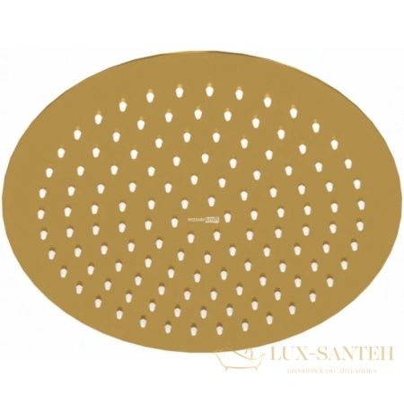 верхний душ wasserkraft aisch a259 248 мм, золотой матовый