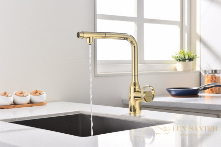 смеситель для кухни под фильтр с выдвижным изливом paulmark urban ur213104-g, золото