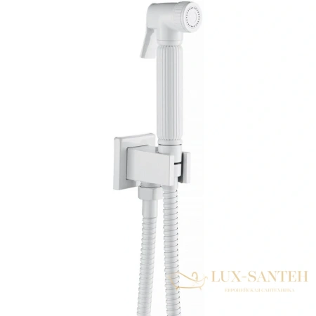 гигиенический комплект timo torne 4389/00-16sm, хром/белый