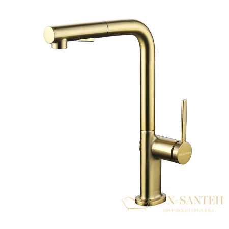 смеситель для кухни с выдвижным изливом paulmark neo ne214419-bg, золото брашированное