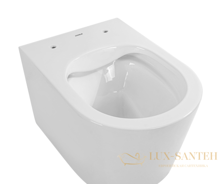 унитаз подвесной безободковый charus infinito rimless ewc700-130w, с быстросъемной крышкой с сиденьем, микролифт,белый глянцевый