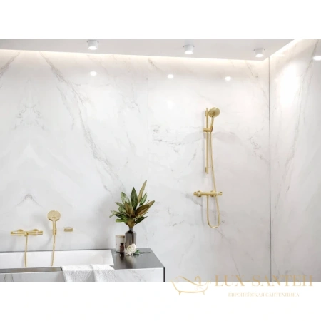 ручной душ hansgrohe raindance select s 120 3jet ecosmart золото 26531990