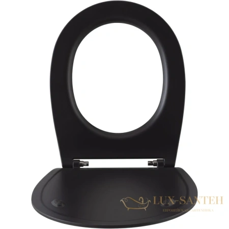 сиденье для унитаза allen brau fantasy 4.11005.31 с микролифтом, черный матовый