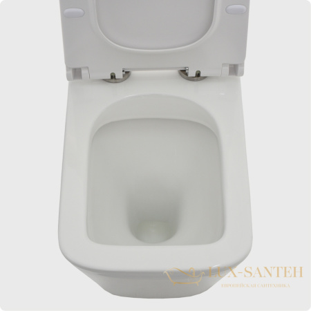 унитаз напольный безободковый aquame aqm1003, в комплекте c сиденьем softclose, горизонтальный выпуск, белый глянцевый