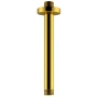 кронштейн для верхнего душа wasserkraft a234 200 мм, золотой