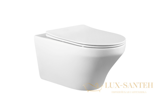 унитаз подвесной безободковый charus franz d rimless ewc700-124w, с быстросъемной крышкой с сиденьем, микролифт,белый глянцевый