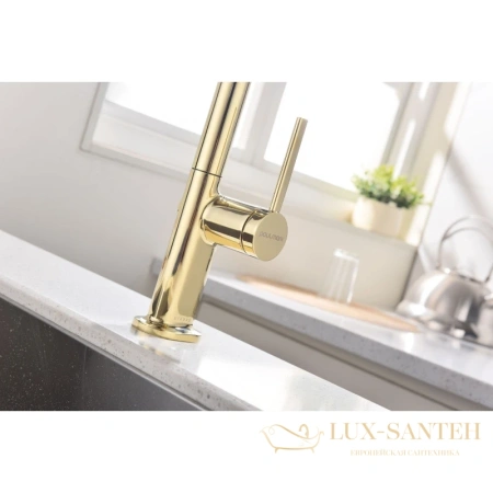 смеситель paulmark neo ne214419-g для кухни, золотой