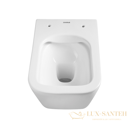 унитаз подвесной безободковый charus alva rimless ewc700-114w, с быстросъемной крышкой с сиденьем, микролифт,белый глянцевый