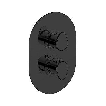 cisal lineaviva, lv01810040, смеситель термостатический настенный для душа на 2 выхода (без встраиваемой части za018101) цвет черный матовый